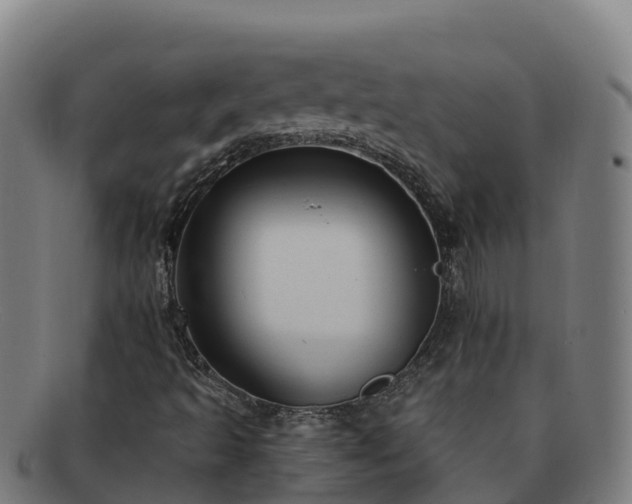 X0000091731493200708311149