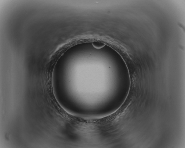 X0000091731494200708311149