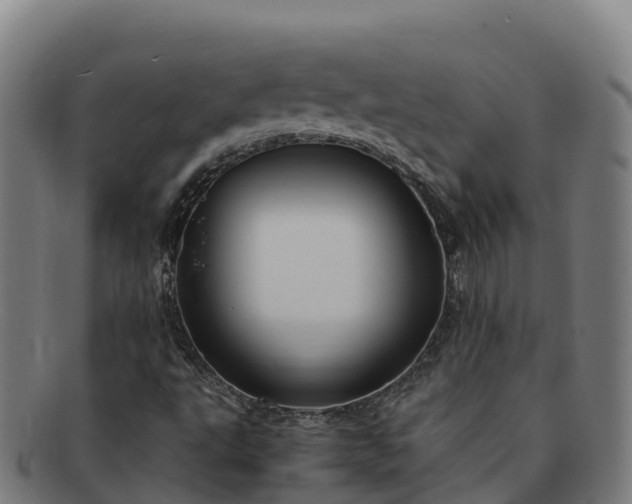 X0000091731495200708311149