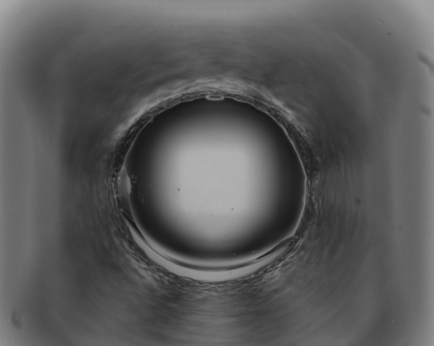 X0000091731496200708311149