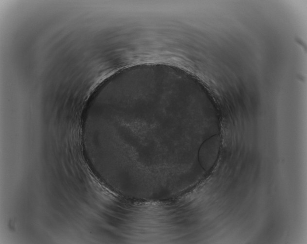 X0000091731497200708311149