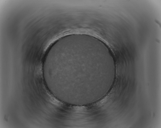 X0000091731498200708311149