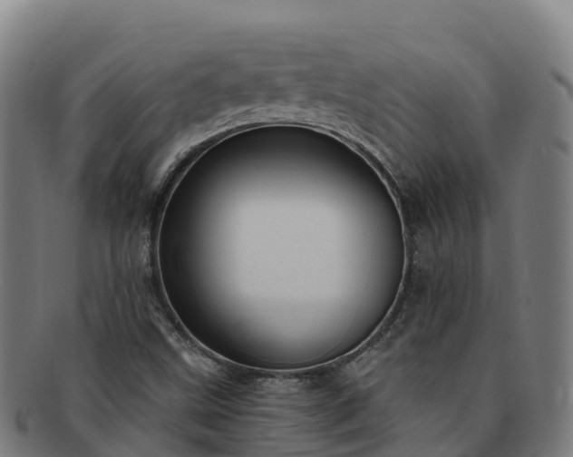 X0000091731499200708311149