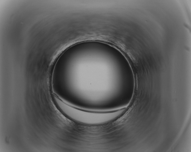 X0000091731500200708311149