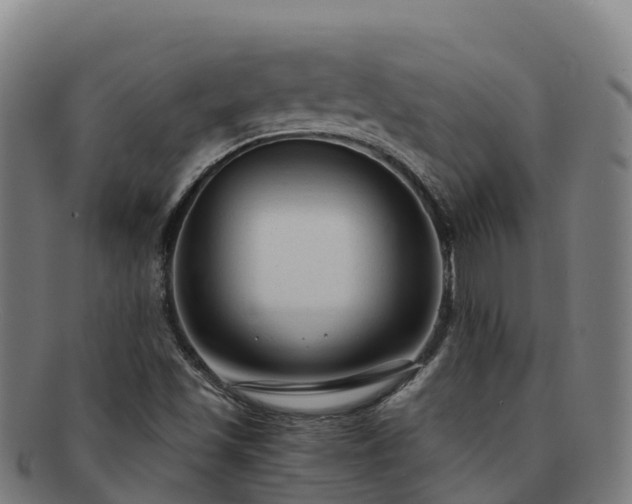 X0000091731501200708311149