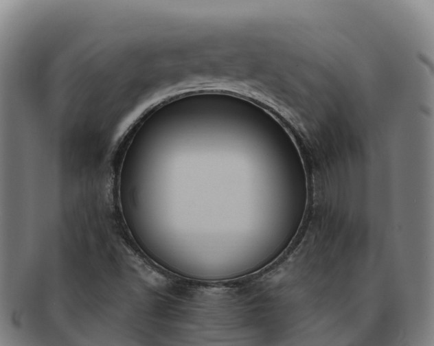 X0000091731502200708311149