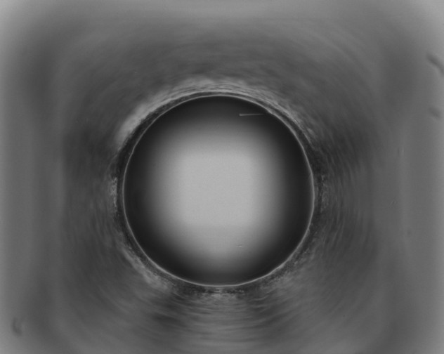 X0000091731503200708311149