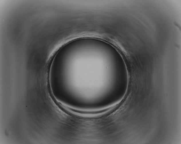 X0000091731504200708311149