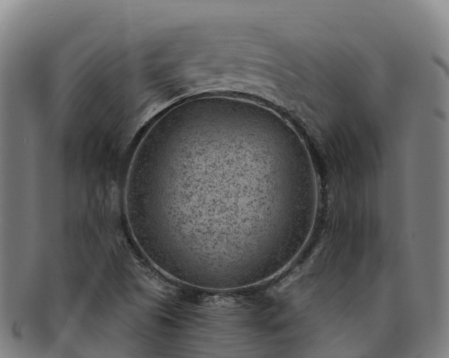 X0000091731505200708311149