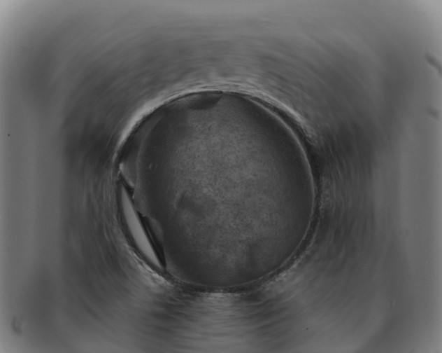 X0000091731506200708311149