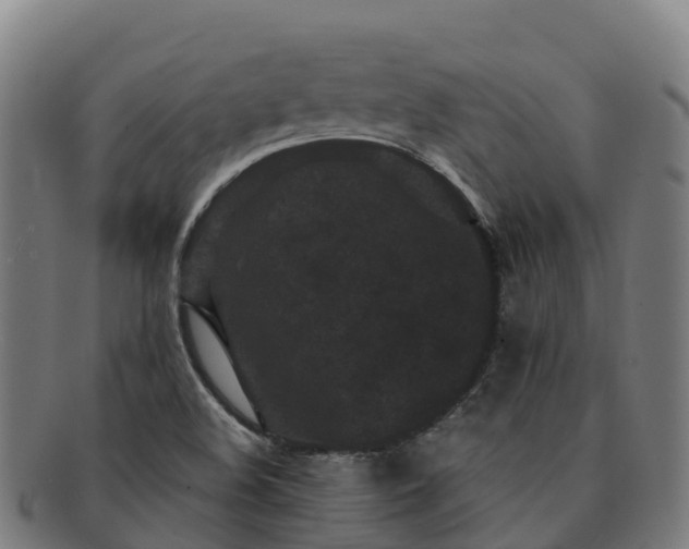 X0000091731508200708311149
