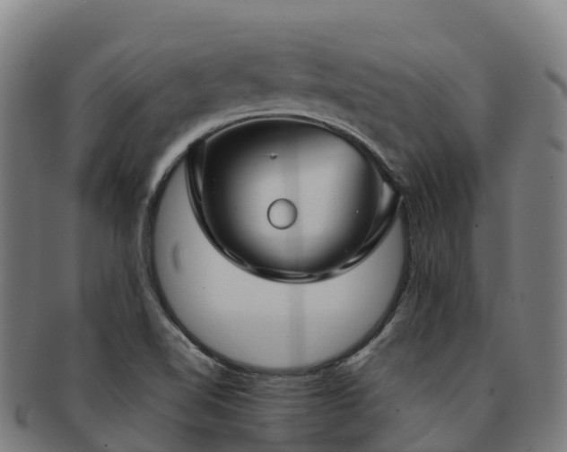 X0000091731510200708311150