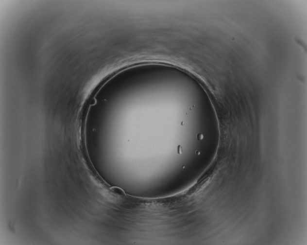 X0000091731511200708311150