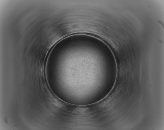 X0000091731513200708311150