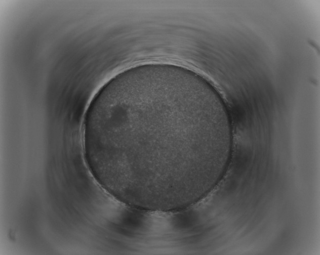 X0000091731514200708311150