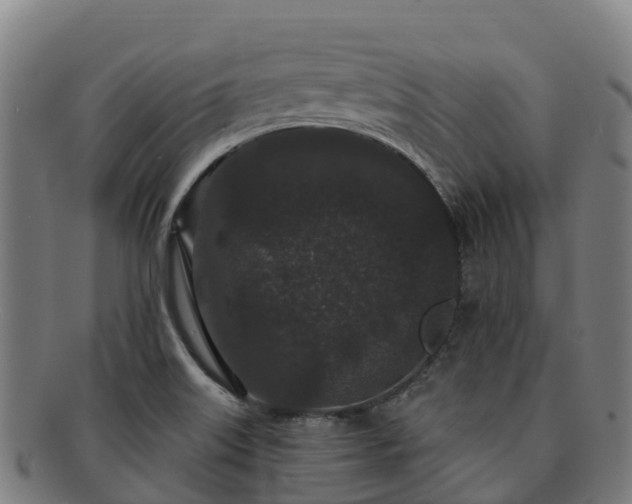 X0000091731515200708311150