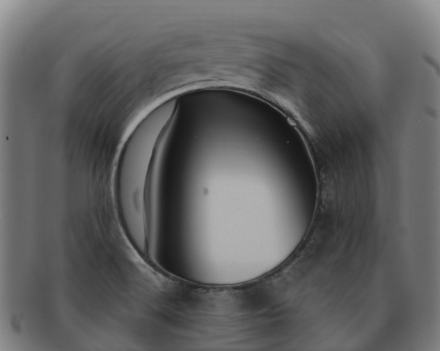 X0000091731516200708311150