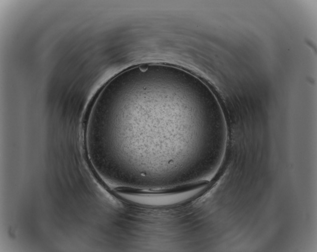 X0000091731517200708311150
