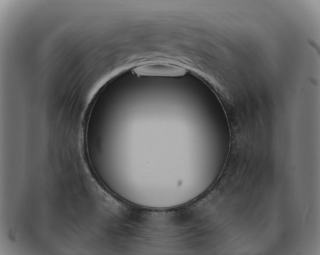 X0000091731518200708311150