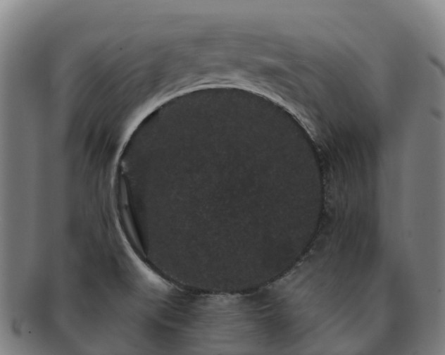 X0000091731519200708311150