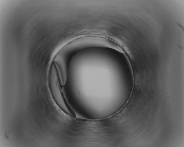 X0000091731520200708311150