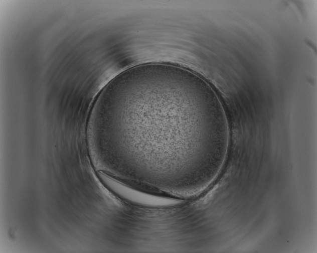 X0000091731521200708311150