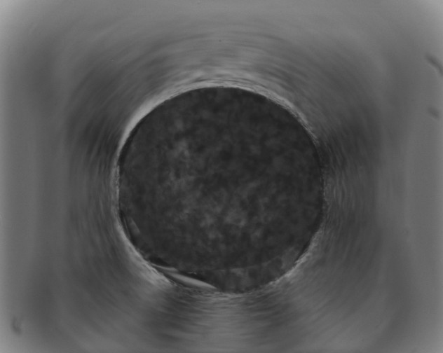 X0000091731522200708311150