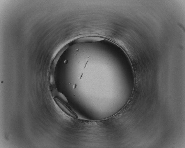 X0000091731524200708311150