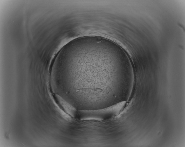 X0000091731525200708311150