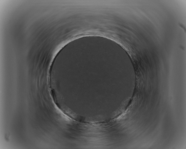 X0000091731527200708311150