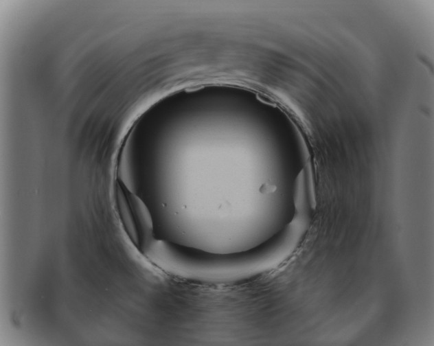X0000091731528200708311150