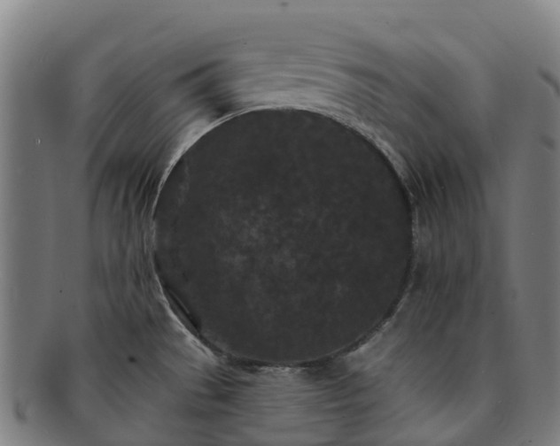 X0000091731529200708311150
