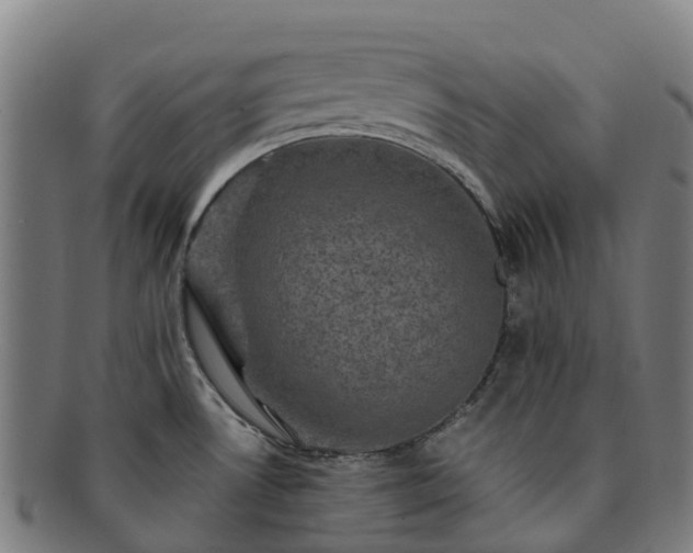 X0000091731530200708311150