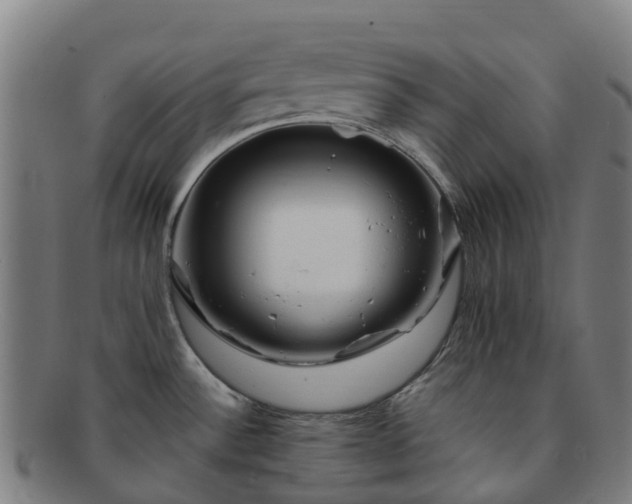 X0000091731532200708311150