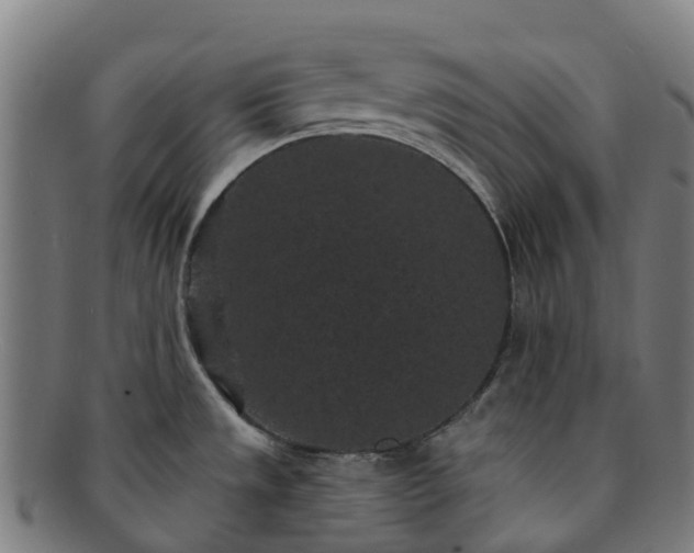 X0000091731533200708311150