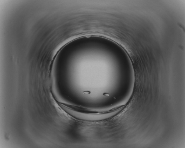 X0000091731534200708311150