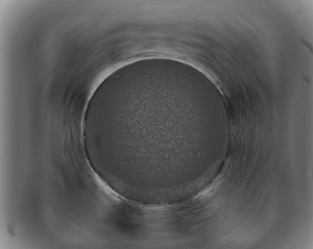 X0000091731535200708311150