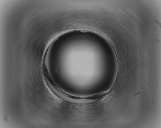 X0000091731536200708311150
