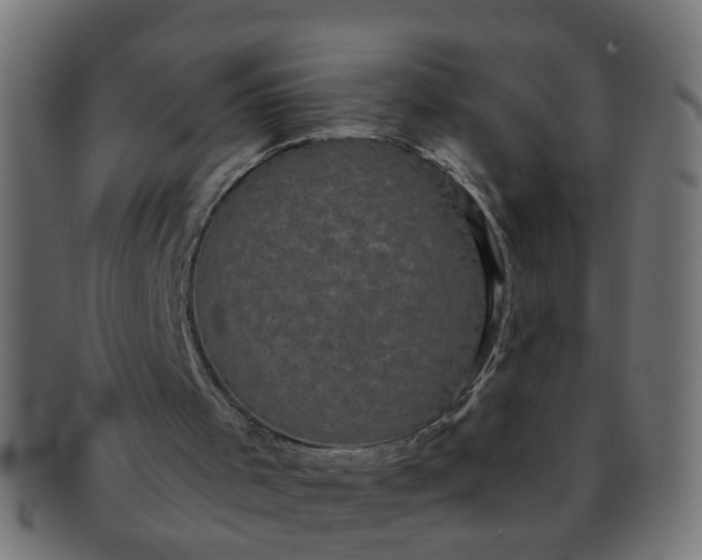 X0000091730001200709071511