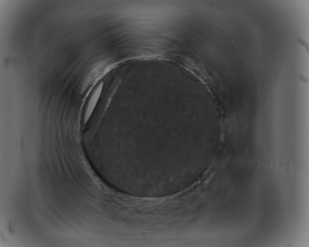 X0000091730002200709071511