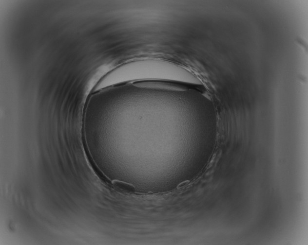 X0000091730003200709071511