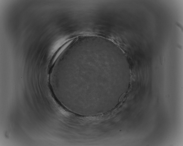 X0000091730005200709071511