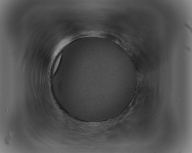 X0000091730006200709071511