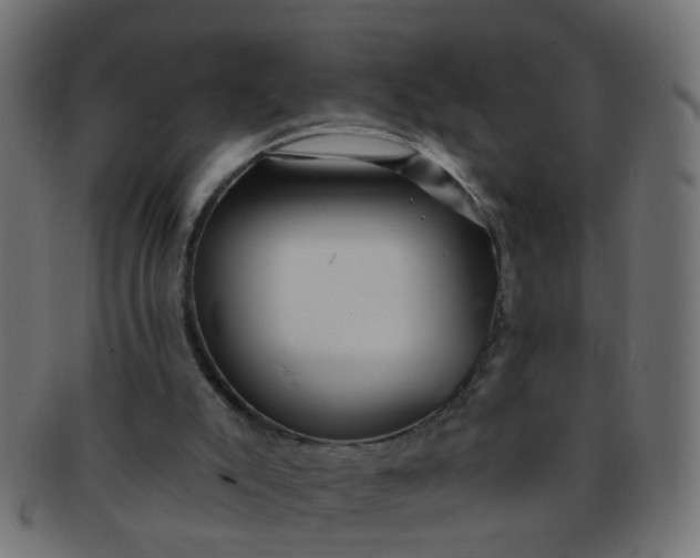 X0000091730007200709071511