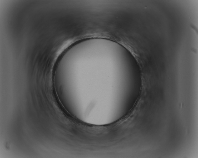 X0000091730008200709071511