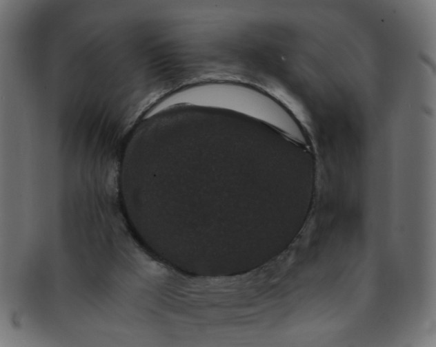 X0000091730009200709071511