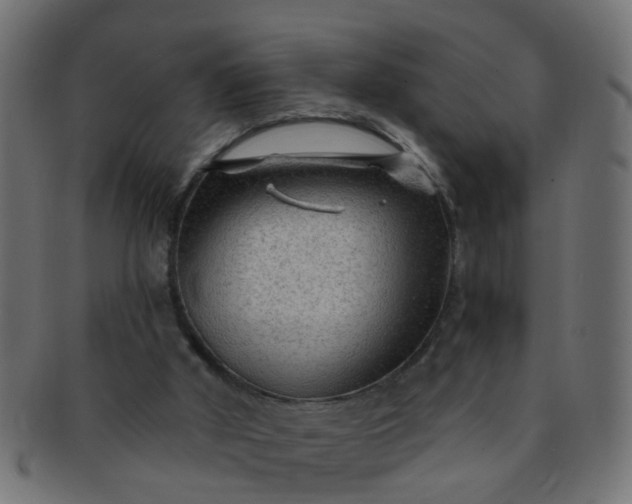 X0000091730010200709071511