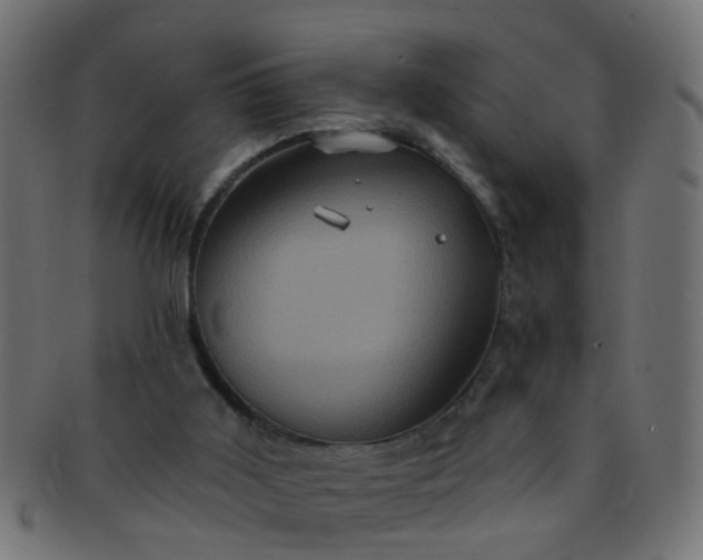 X0000091730011200709071511