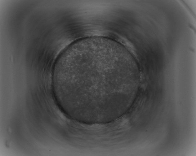 X0000091730012200709071511