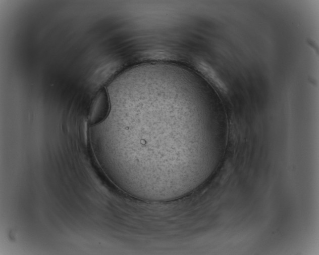 X0000091730014200709071511